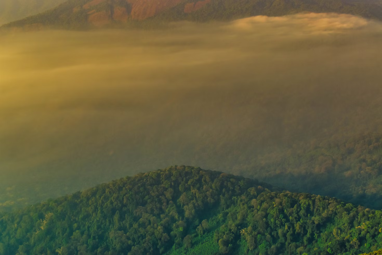 Velliangiri Hills Travel Guide for 2026: A Hidden Hill Station You Should Visit