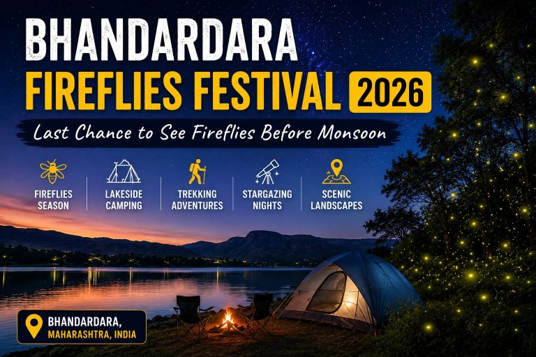 Bhandardara Fireflies Festival 2026: Last Chance to See Fireflies Before Monsoon