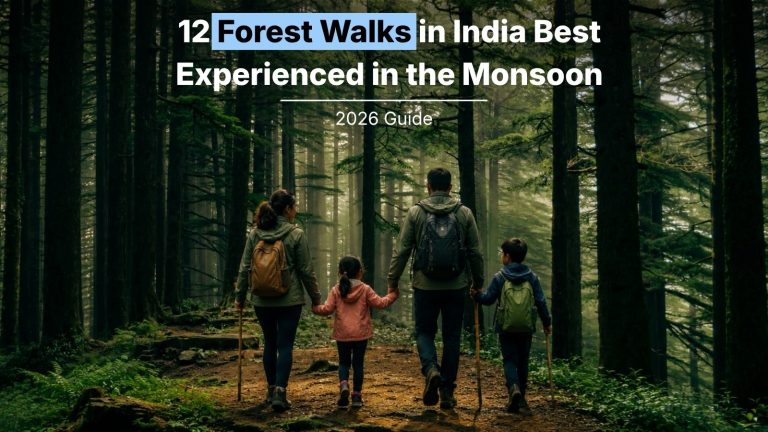 12 Forest Walks in India Best Experienced in the Monsoon (2026)