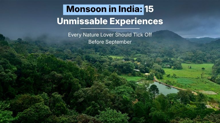 Monsoon in India: 15 Unmissable Experiences Every Nature Lover Should Tick Off Before October