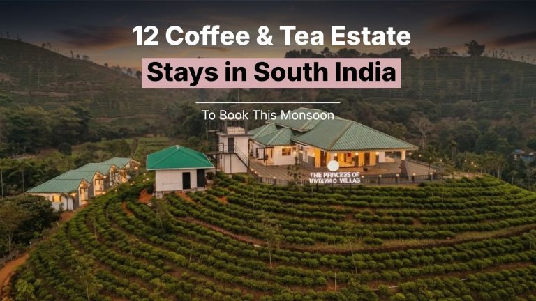 12 Coffee & Tea Estate Stays in South India to Book This Monsoon