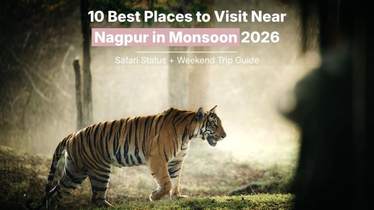 10 Best Places to Visit Near Nagpur in Monsoon 2026 (Safari Status + Weekend Trip Guide)