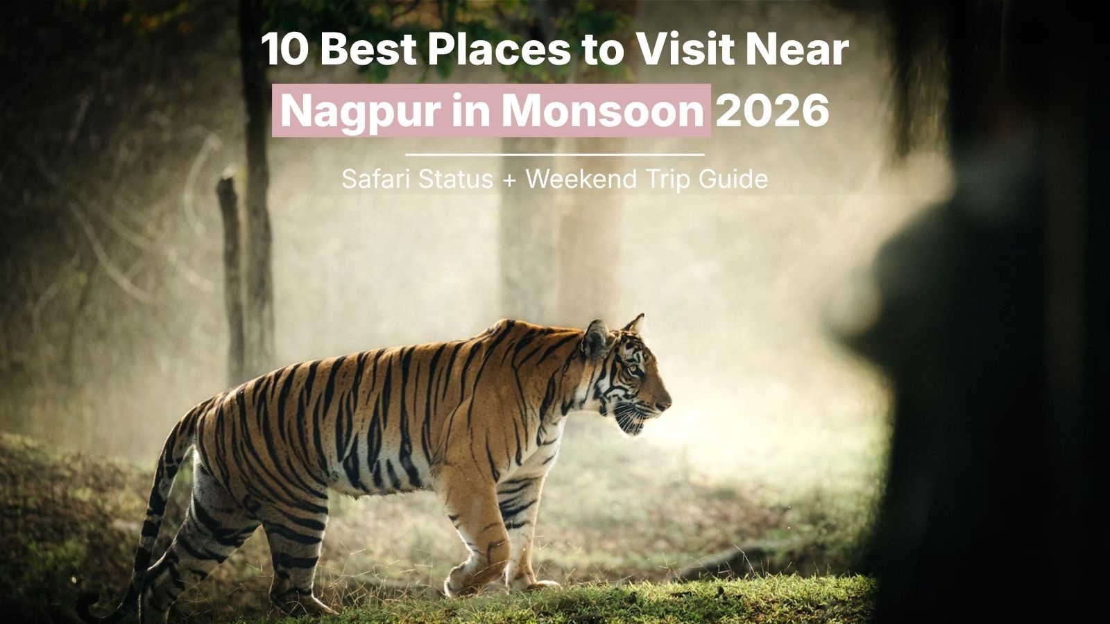 10 Best Places to Visit Near Nagpur in Monsoon 2026 (Safari Status + Weekend Trip Guide)