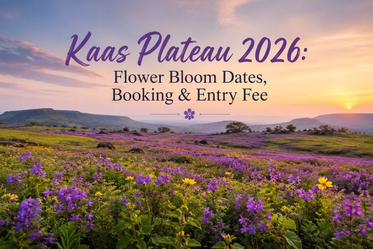 Kaas Plateau 2026: Flower Bloom Dates, Booking & Entry Fee