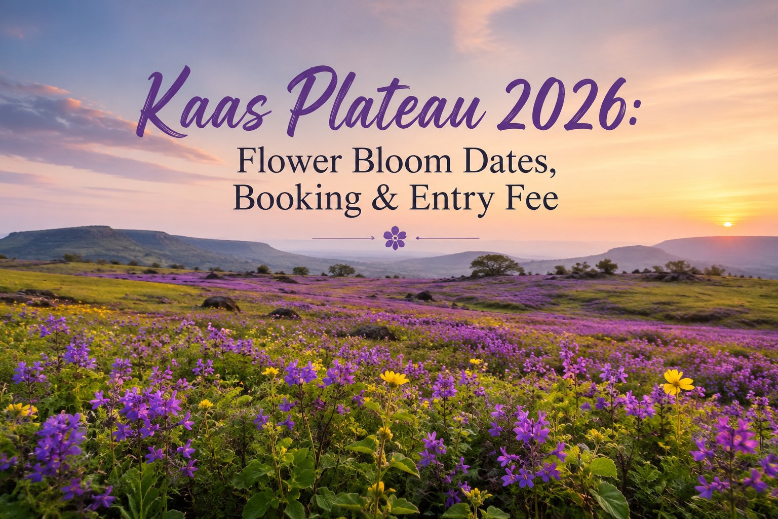 Kaas Plateau 2026: Flower Bloom Dates, Booking & Entry Fee