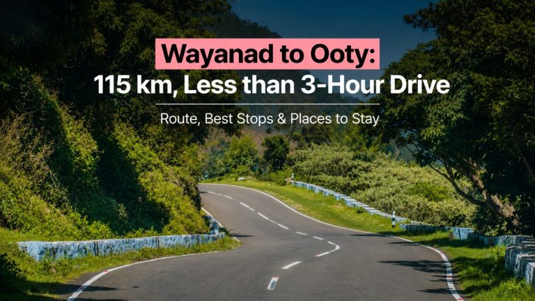 Wayanad to Ooty: 115 km, Less than 3-Hour Drive, Route & Best Stops