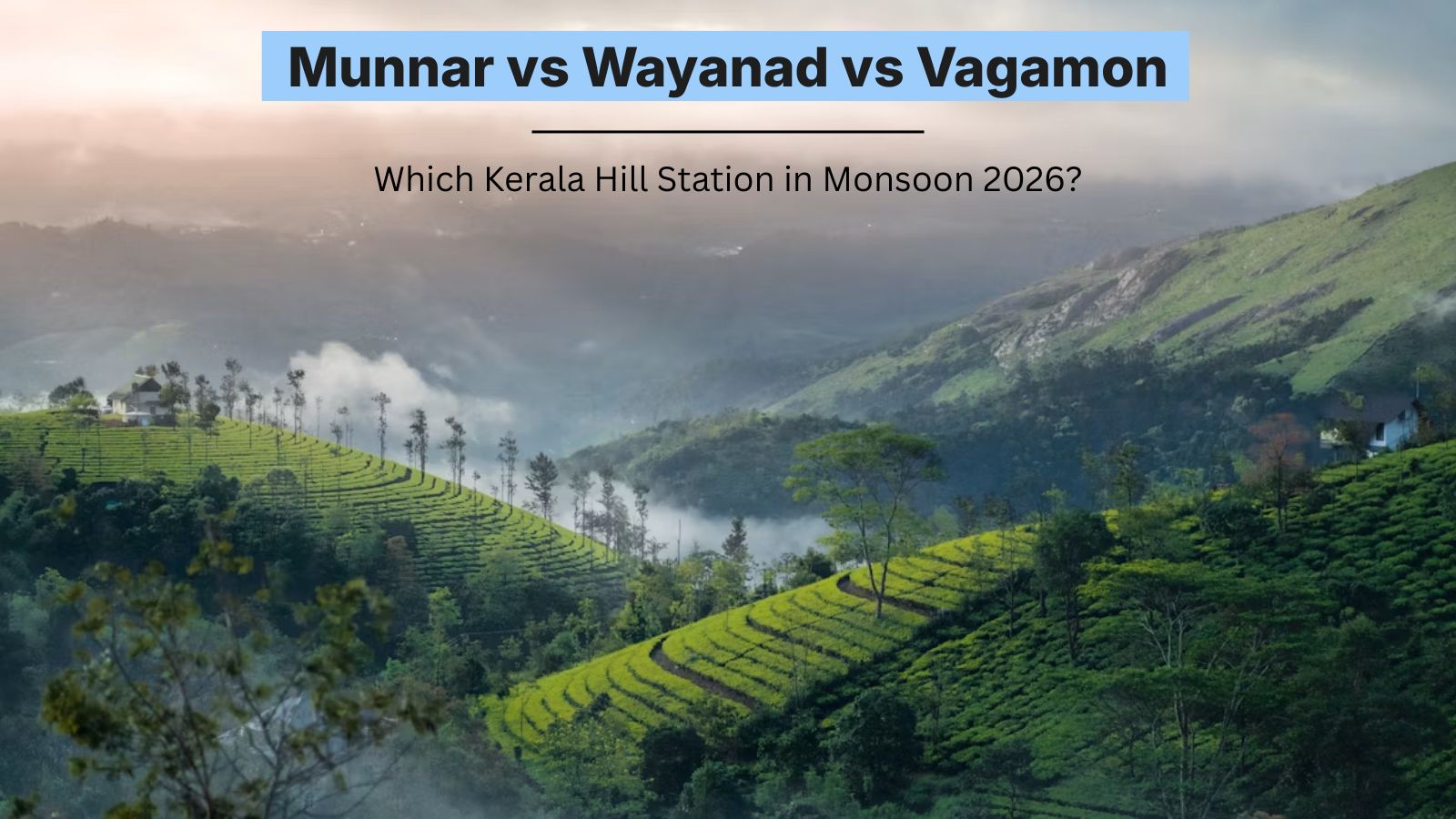 Munnar vs Wayanad vs Vagamon: Which Kerala Hill Station Wins the Monsoon in 2026?