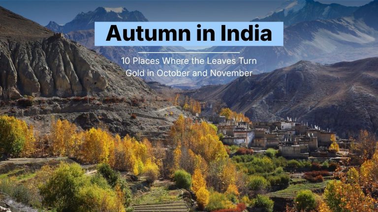 Autumn in India: 10 Places Where the Leaves Turn Gold in October and November