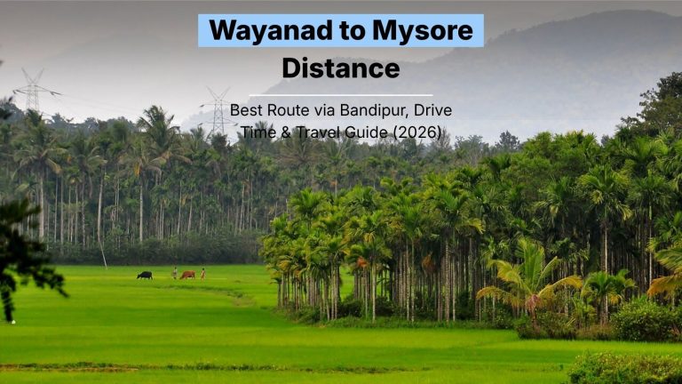 Wayanad to Mysore Distance: Best Route via Bandipur, Drive Time & Travel Guide (2026)