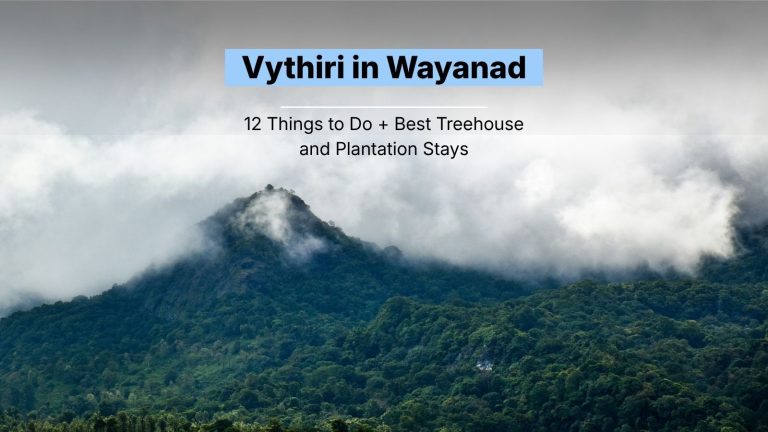 Vythiri in Wayanad: 12 Things to Do + Best Treehouse and Plantation Stays