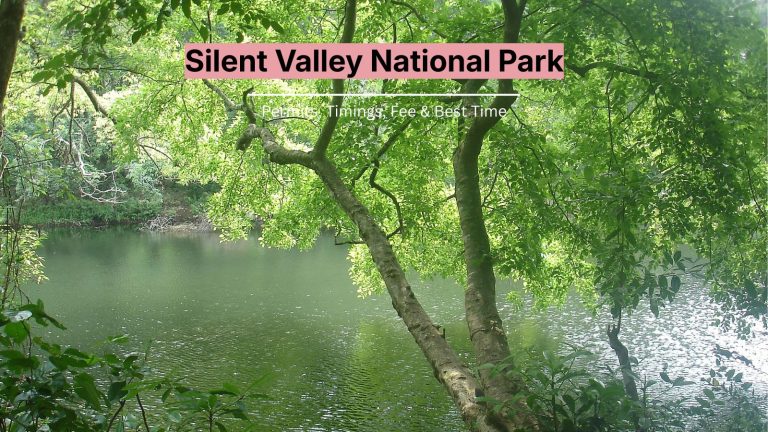 Silent Valley National Park: Permits, Timings, Fee & Best Time