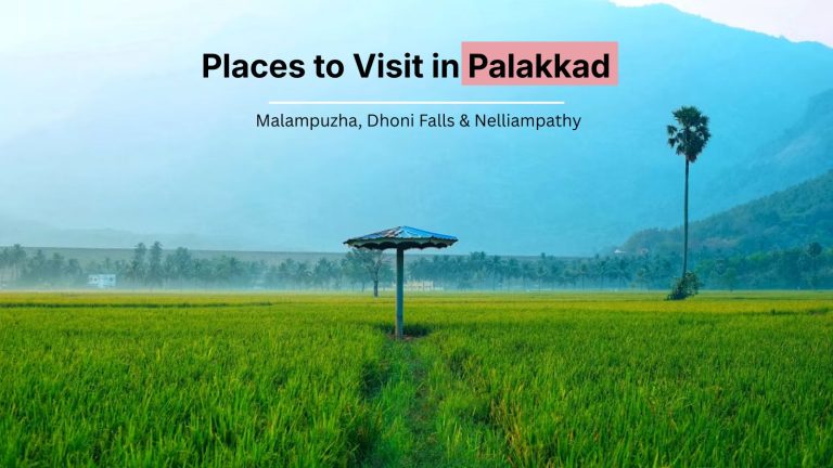 Palakkad: 12 Places to Visit — Malampuzha, Dhoni Falls & Nelliampathy