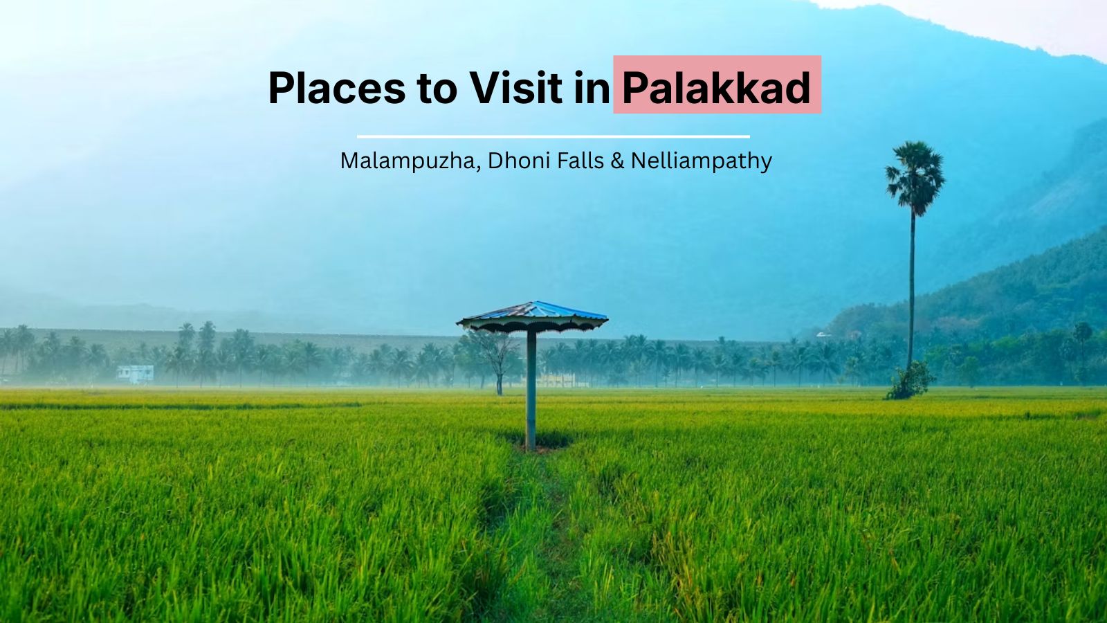 Palakkad: 12 Places to Visit — Malampuzha, Dhoni Falls & Nelliampathy