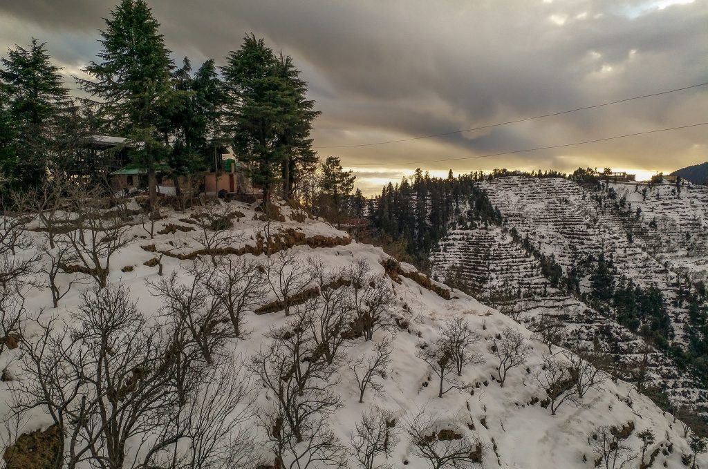 Places to visit in Kanatal: Uttarakhand’s Quiet Alternative to a Crowded Mussoorie
