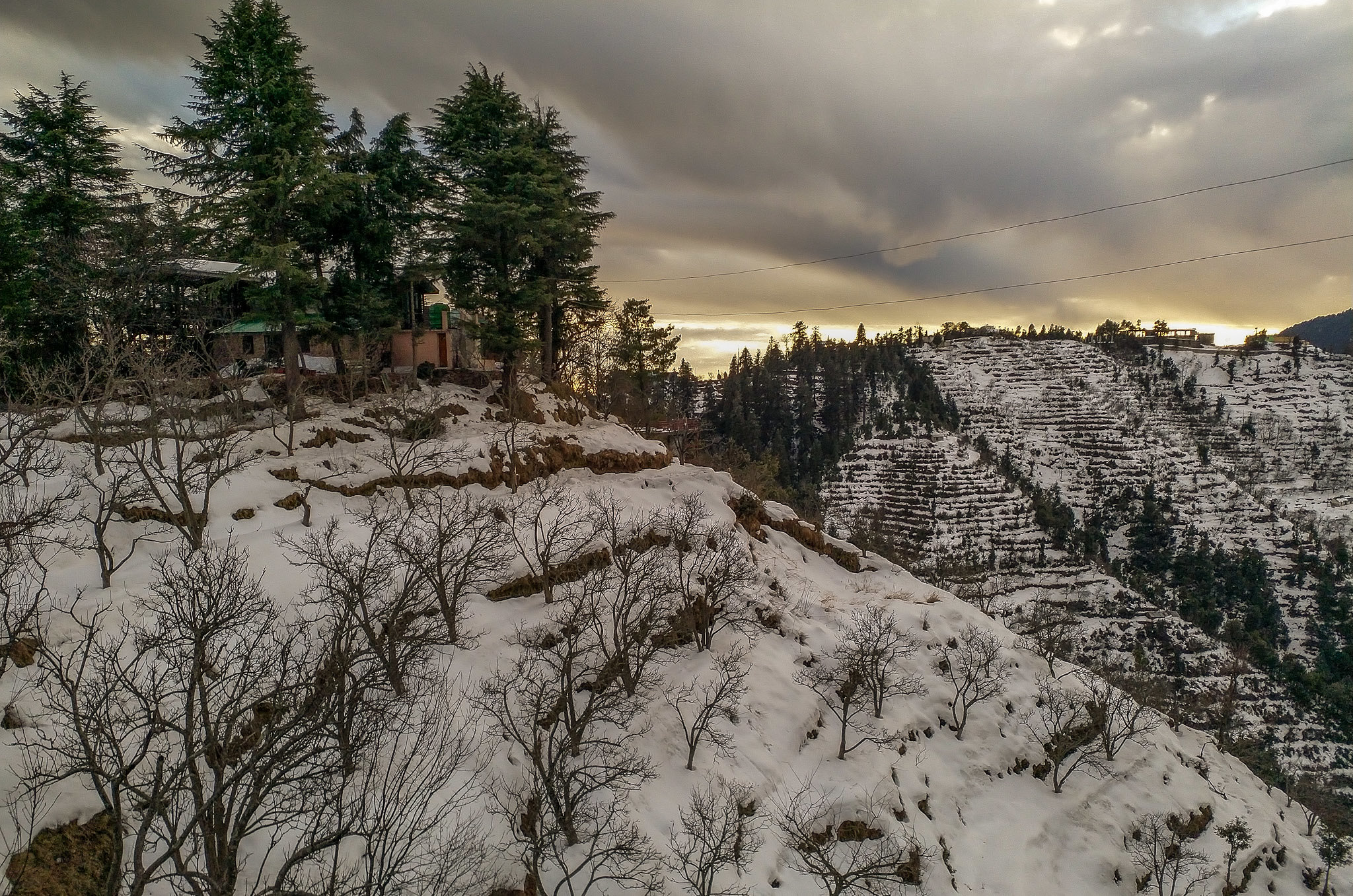 Places to visit in Kanatal: Uttarakhand’s Quiet Alternative to a Crowded Mussoorie