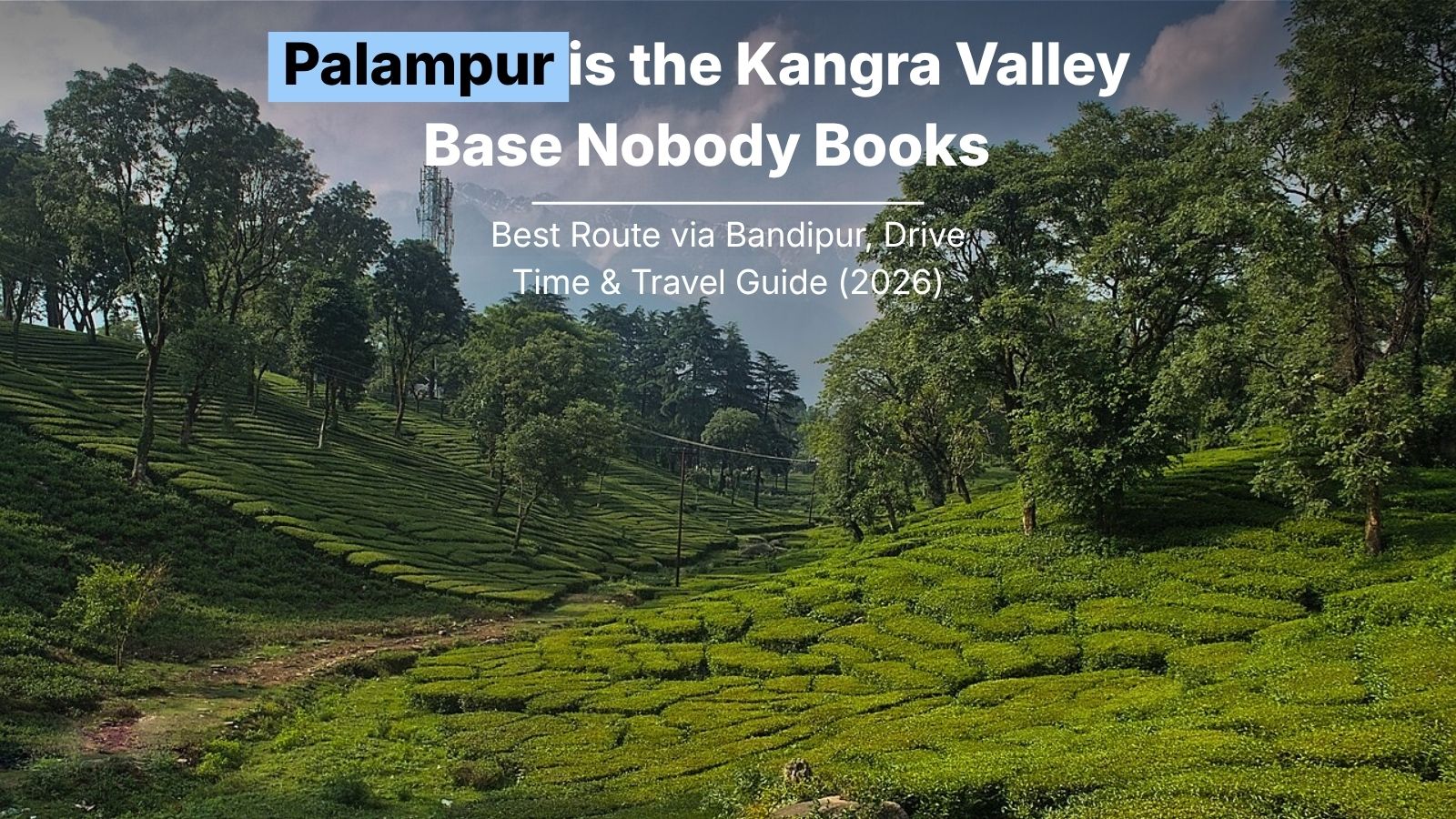Palampur is the Kangra Valley Base Nobody Books: 3 Stays, Tea Gardens, and What’s Open in September